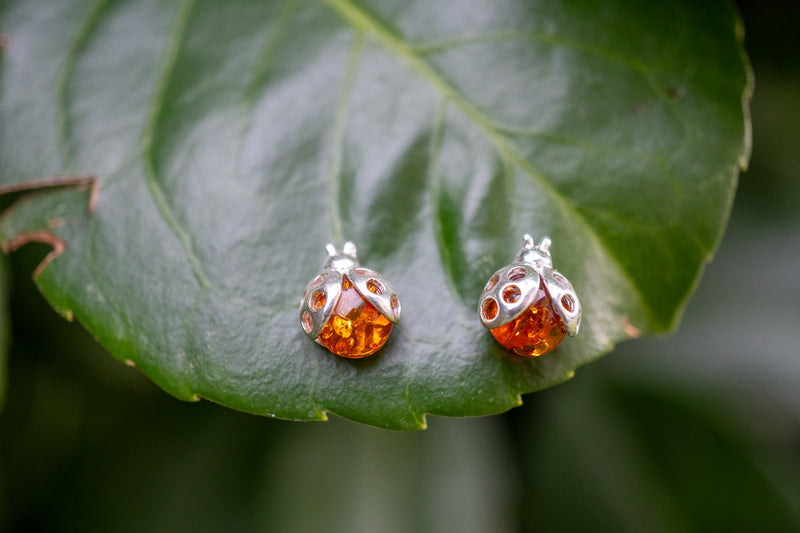 Boucles d'oreilles en ambre en forme de coccinelles (grand)