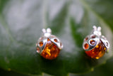 Boucles d'oreilles en ambre en forme de coccinelles (grand)