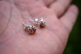 Boucles d'oreilles en ambre en forme de coccinelles (grand)