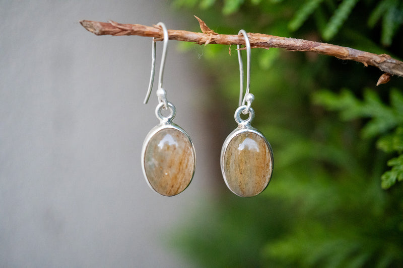 Boucles d'oreilles avec rutile doré