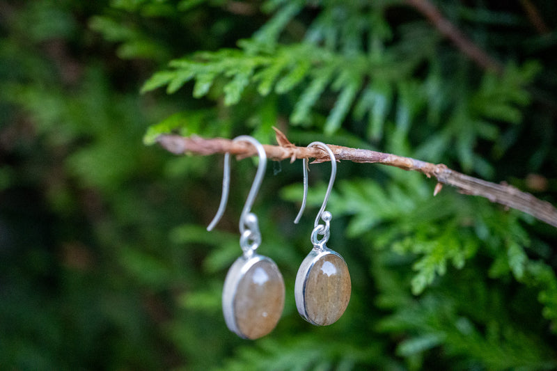 Boucles d'oreilles avec rutile doré