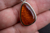 925 Silver Pendant with Baltic Sea Cognac Amber