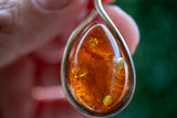 925 Silver Pendant with Baltic Sea Cognac Amber